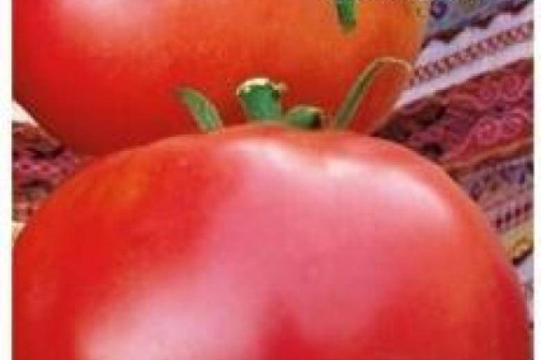 Характеристика и описание сорта томата марфушечка душечка