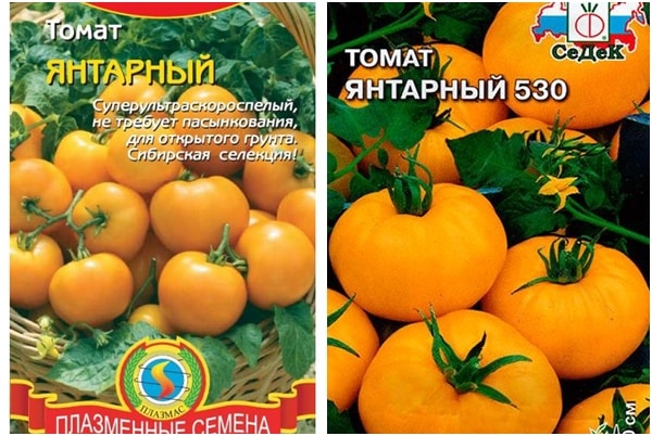 Описание и общая характеристика желтоплодного томата янтарный 530