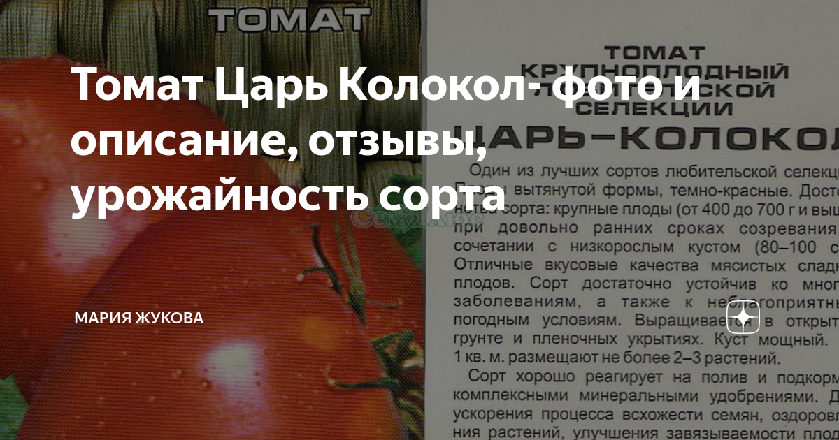 Томат царь колокол: отзывы, фото кустов и урожая, преимущества и недостатки сорта, инструкция по его выращиванию