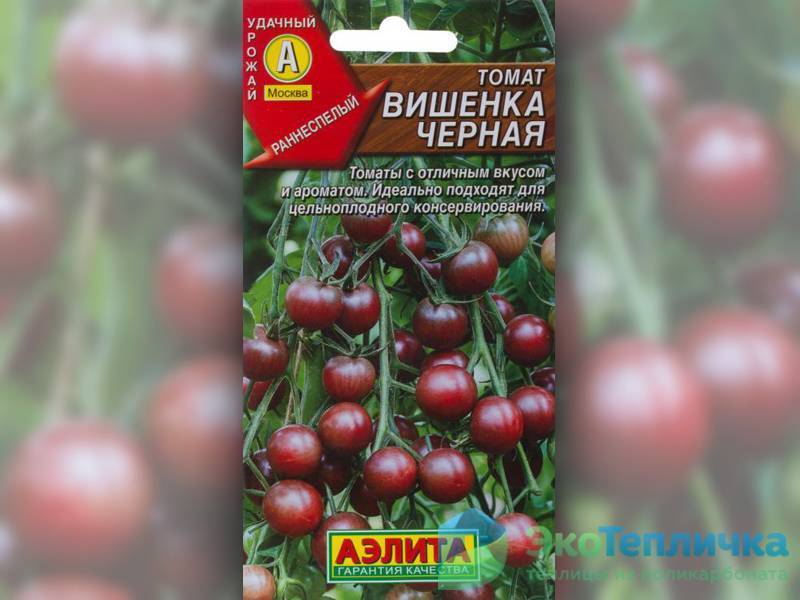 Урожайные черри вишенка чёрная