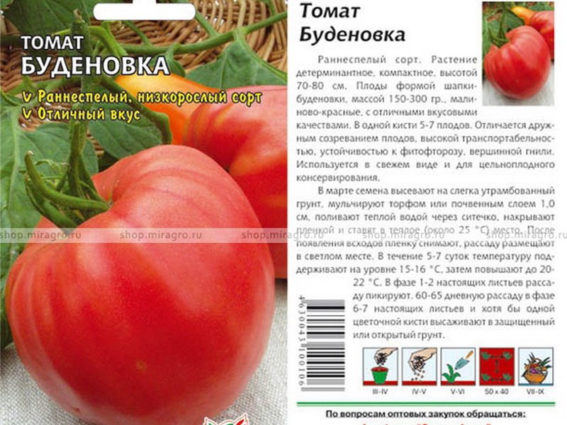 Томат буденовка характеристика и описание сорта | сад и дача