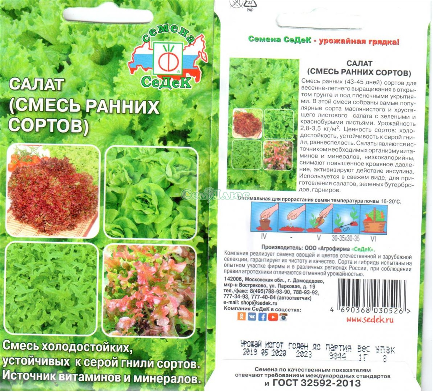 Агротехника и особенности выращивания салата латука на дачном участке