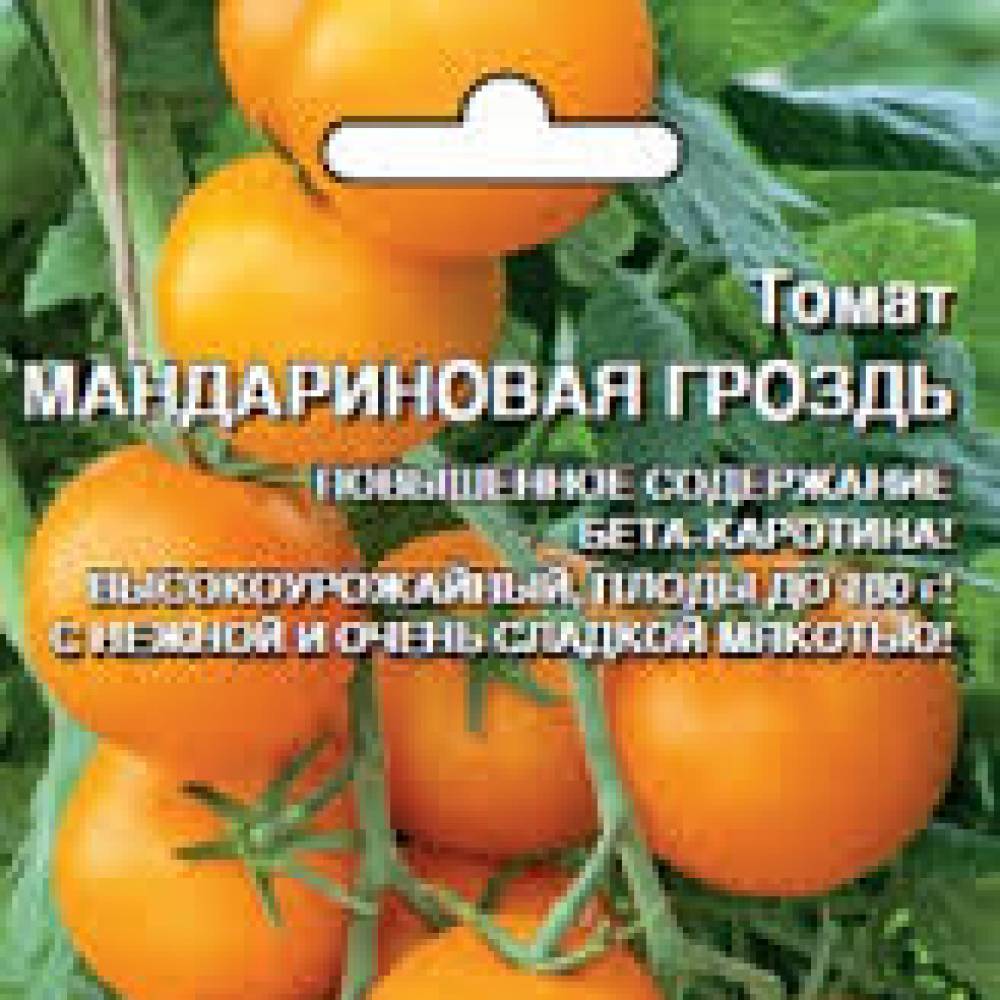 Томат медовые росы: характеристика и описание сорта с фото