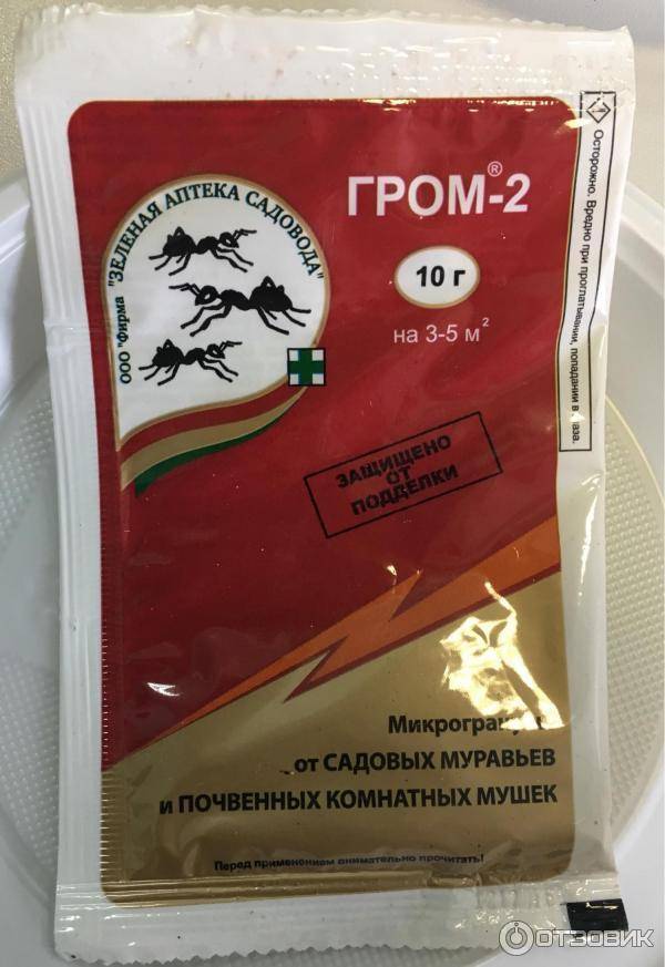 Препарат гром 2: инструкция по применению для комнатных растений