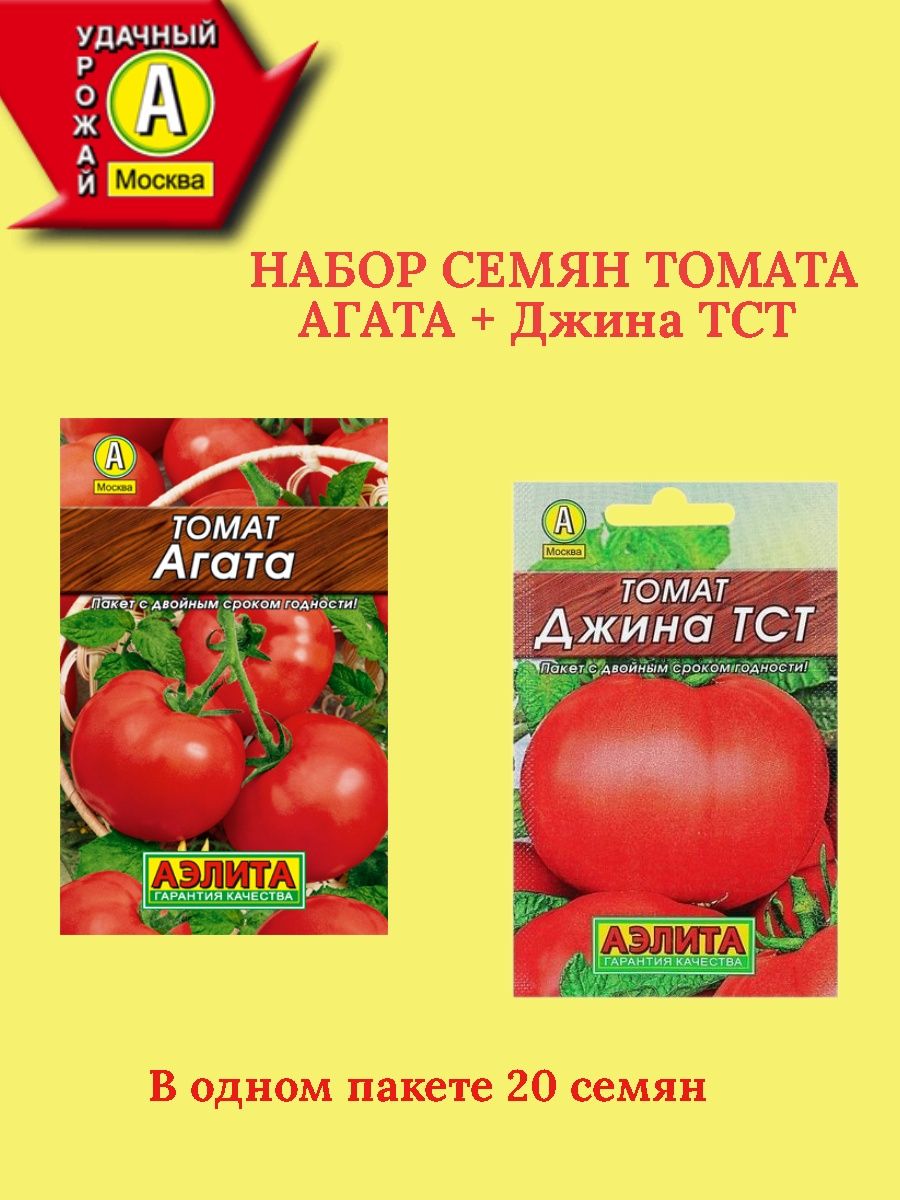 Томаты «бугай» красный – большой гибрид, дающий богатый урожай
