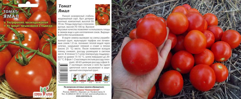 Томат утенок: описание, отзывы (16), фото, урожайность | tomatland.ru