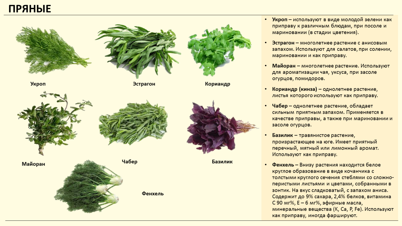 Трава базилик: фото, сорта, полезные свойства, применение в кулинарии