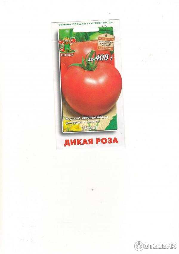 Томат дикая роза