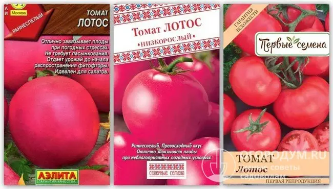 Раннеспелый, детерминантный, низкорослый, урожайный сорт томата для открытого грунта Купить семена томата Лотос недорого