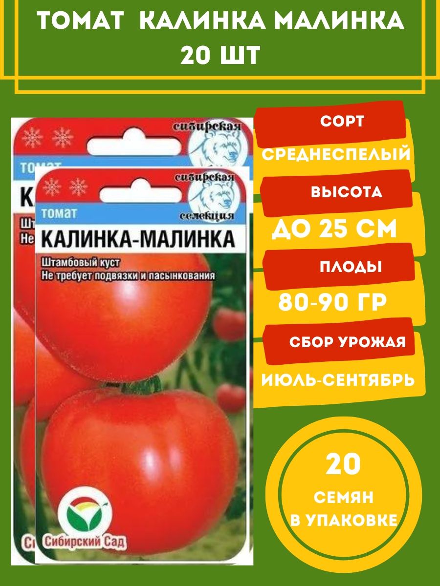 Лучшие сорта томатов (помидор) на 2024 год для теплиц из поликарбоната и открытого грунта - blog-dm.ru