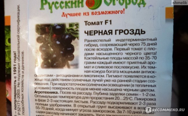 Томаты «черная гроздь» — экзотические гибриды с необычным вкусом