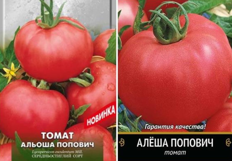 Томат алеша попович: описание сорта, характеристика, отзывы