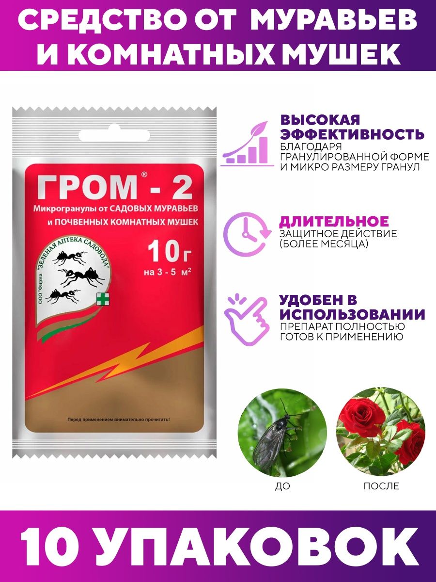 Гром 2, г