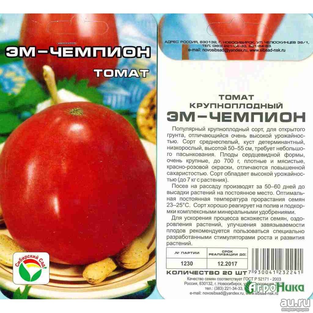 Томат дикая роза: характеристика и описание сорта семян сибирский сад, отзывы огородников об урожайности и выращивании помидоров, видео и фото куста в высоту