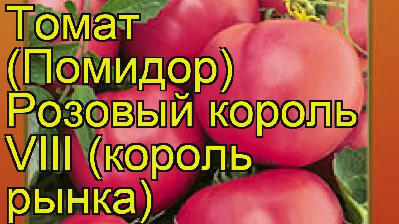 Лучшие сорта томатов для сибири 2024 года