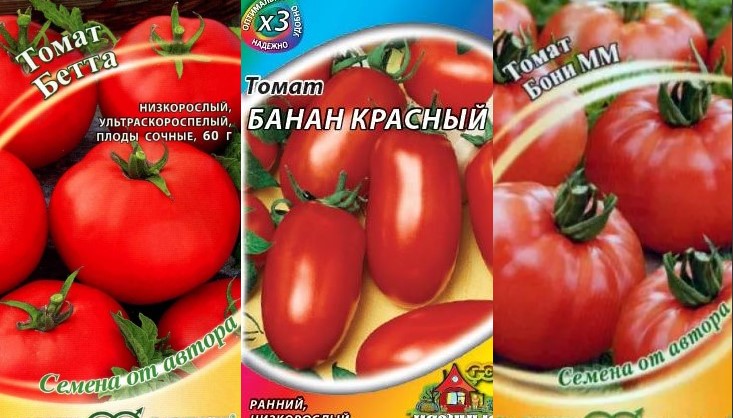 Мясистые помидоры - ранние сорта для открытого грунта