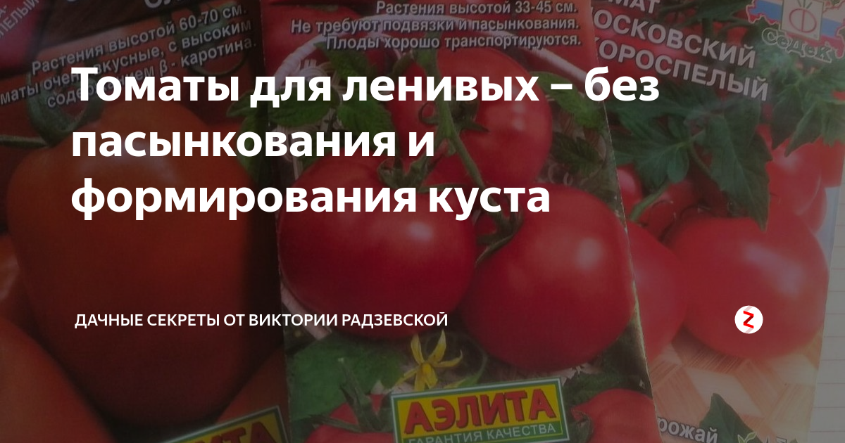7 низкорослых томатов для открытого грунта, без пасынкования, крупные и и урожайные, которые не надо подвязывать