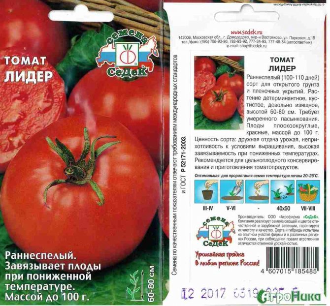 Томат розовый лидер: описание сорта, фото, отзывы, характеристика, урожайность