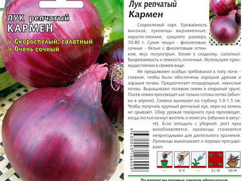 Сорта красного лука с описанием и фото