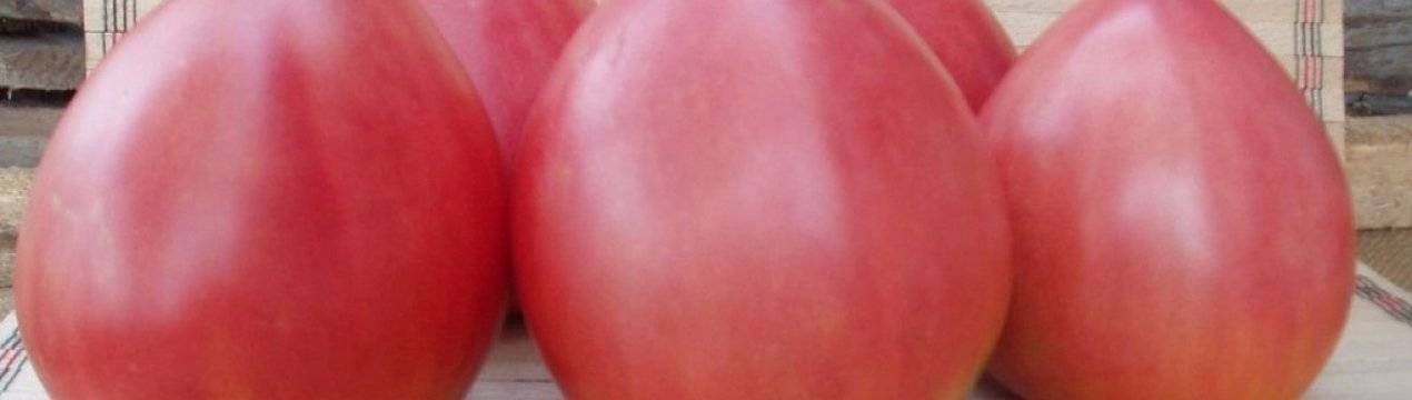 Гибрид с вкусными сердцевидными плодами
