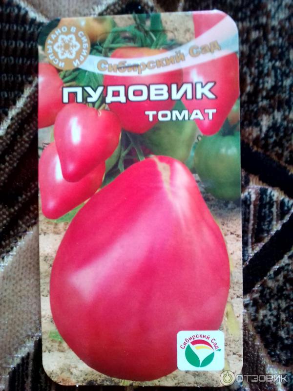 Характеристика и описание томата “малиновый гигант”
