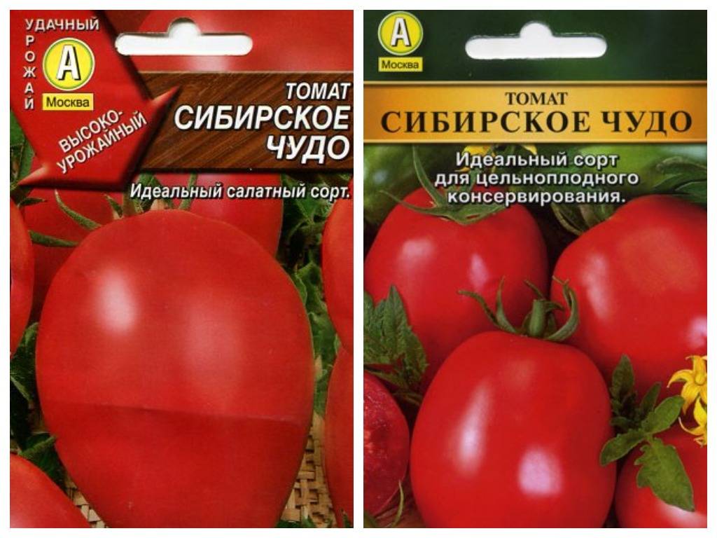 Томат сибирское чудо: описание и характеристика сорта, особенности выращивания, отзывы тех, кто сажал, фото