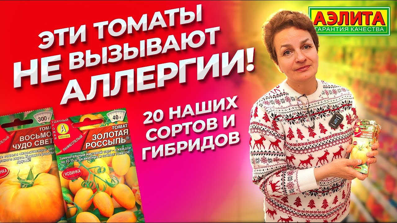 Томат искуситель: описание сорта, отзывы, фото