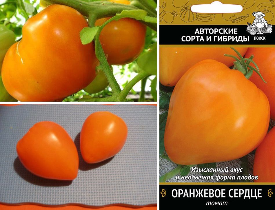 Томат оранжевое сердце: характеристика и описание сорта, выращивание и уход