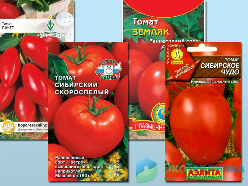 Томат бурковский ранний: характеристика и описание сорта, сибирский сад, отзывы