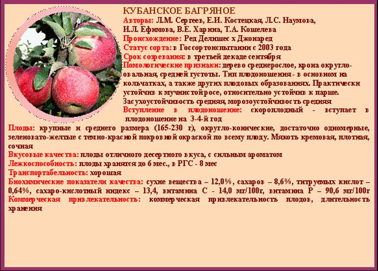 Яблони россошанские полосатые: описание сорта и его фото, характеристики и особенности selo.guru — интернет портал о сельском хозяйстве