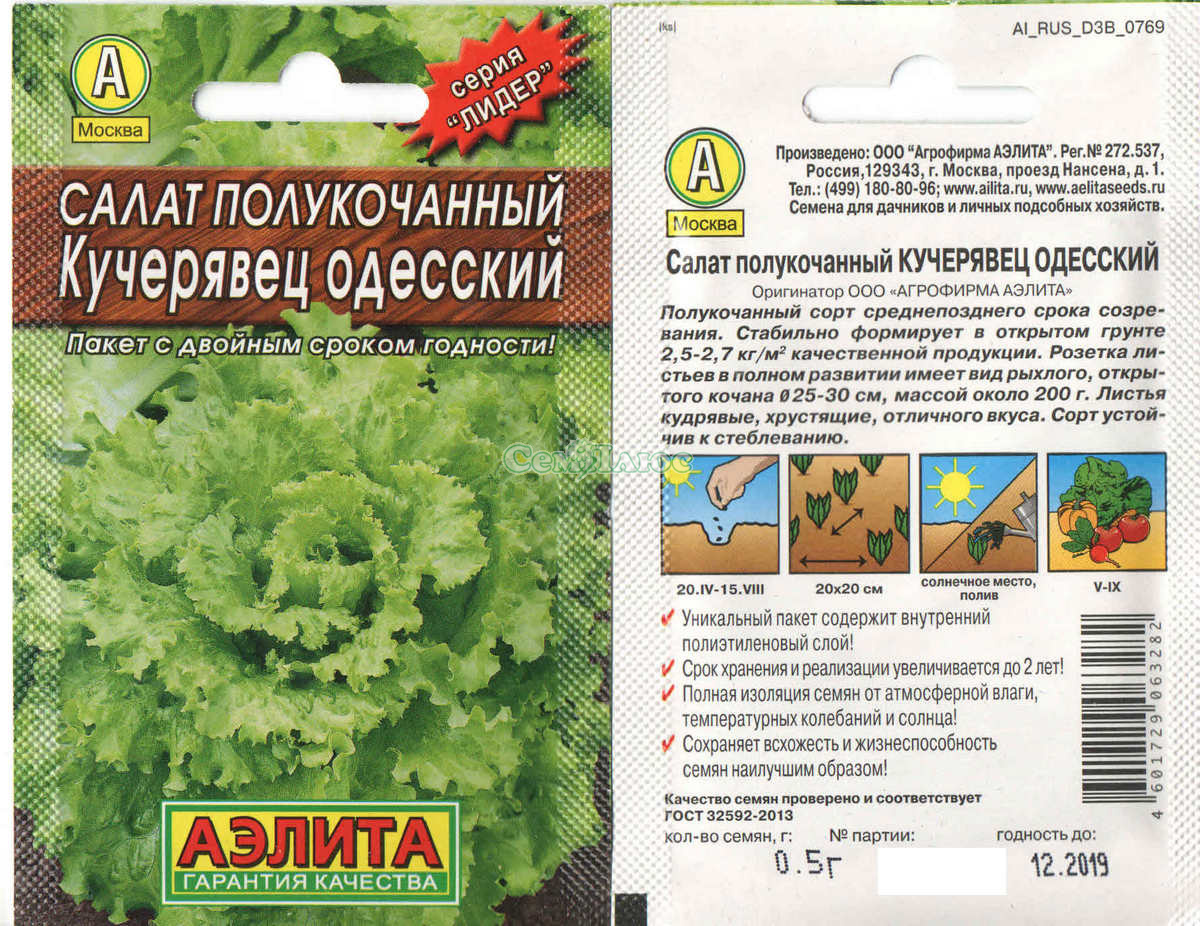Сорт салата одесский кучерявец - у дачки