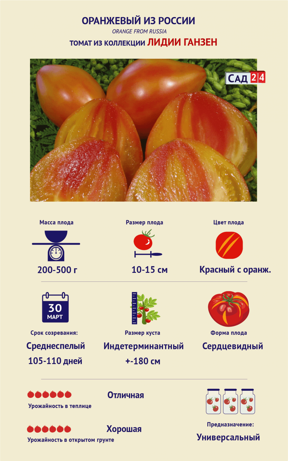 7 гибридов томатов для теплиц – самые лучшие и вкусные сорта