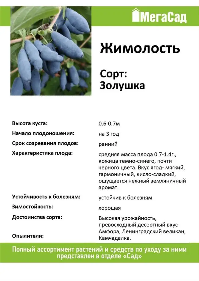 Алыча прамень описание сорта опылители