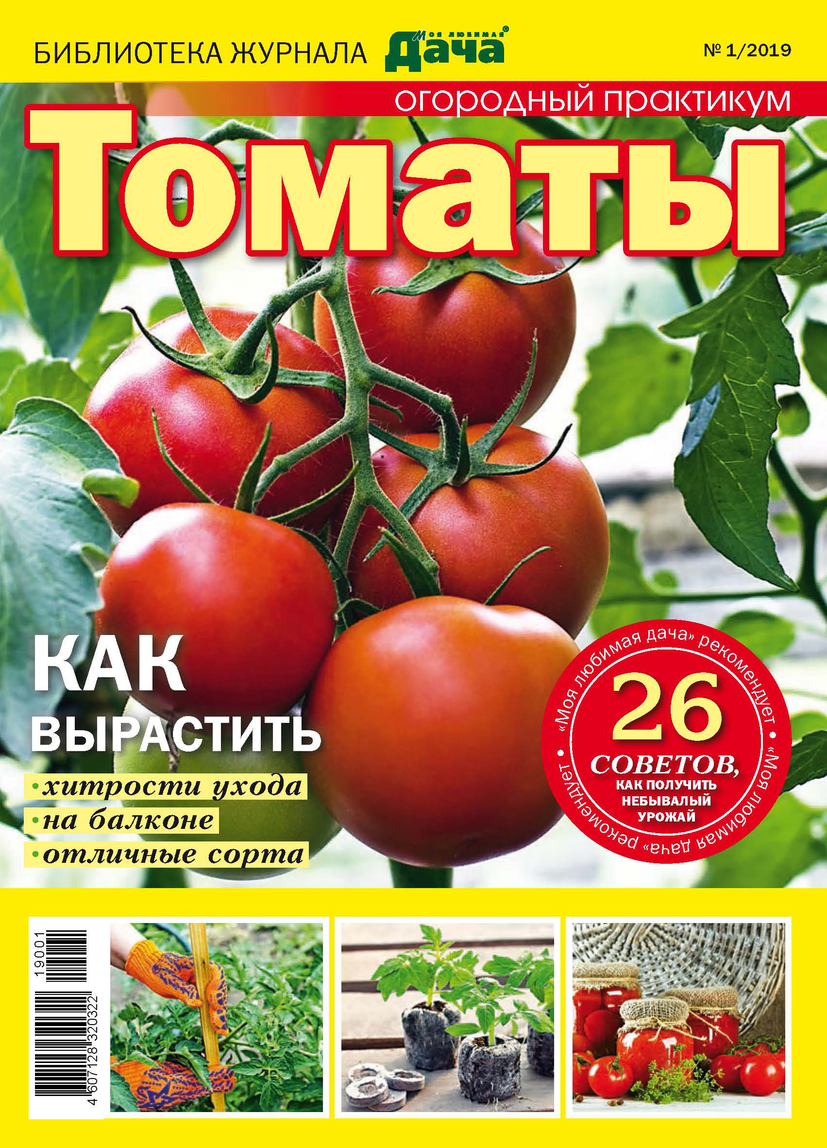 Мои любимые сорта томатов - огород