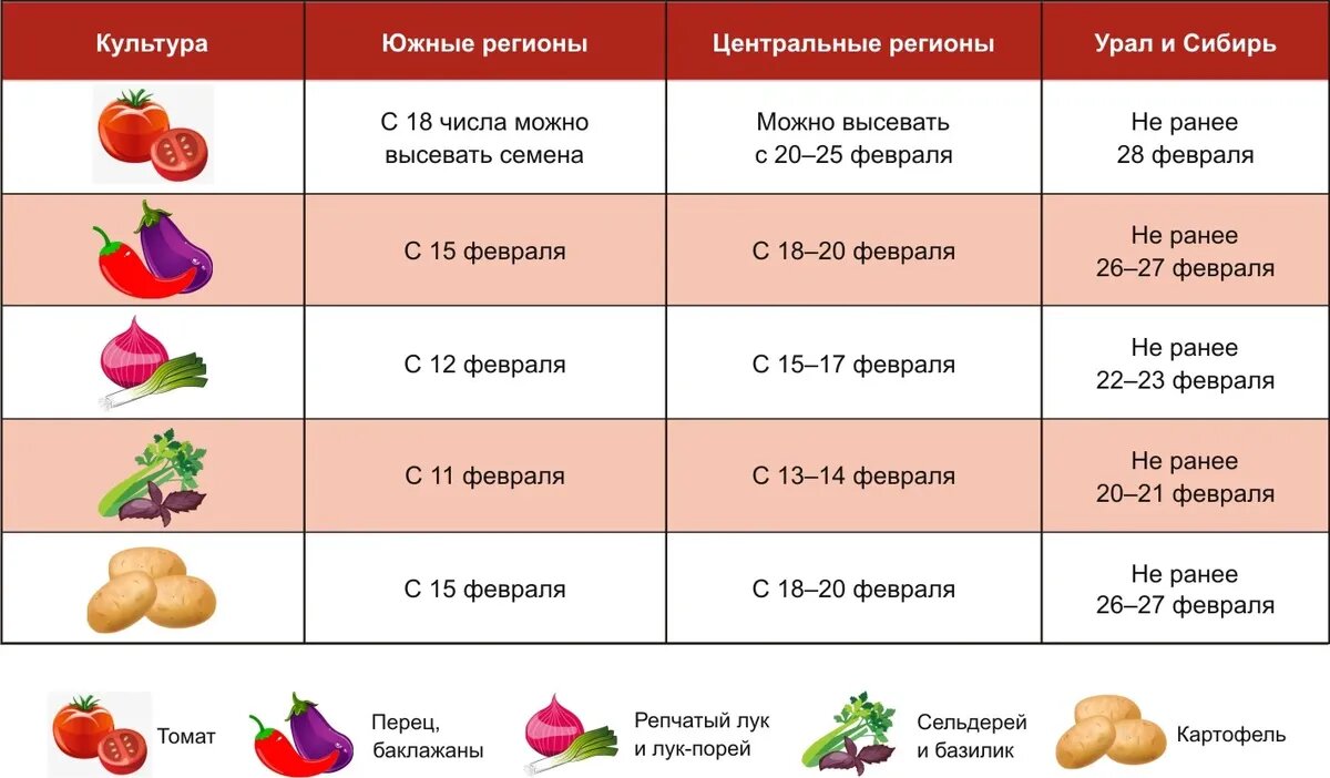 Лабазник или таволга: правила по уходу и размножению