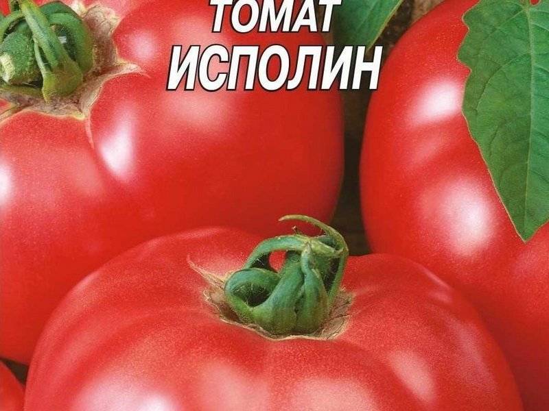 Самые высокоурожайные сорта томатов: фото, названия и описания (каталог)