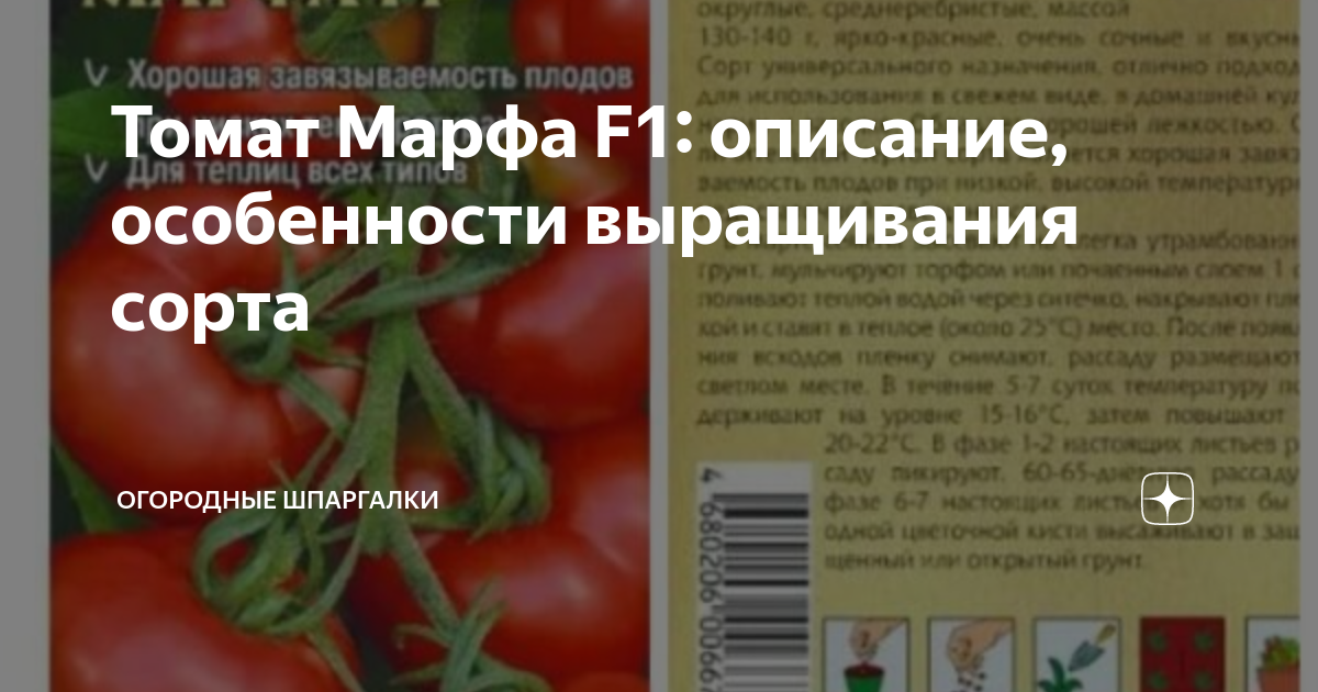 Томат марфа f1: характеристика и описание сорта, отзывы об урожайности помидоров, фото куста