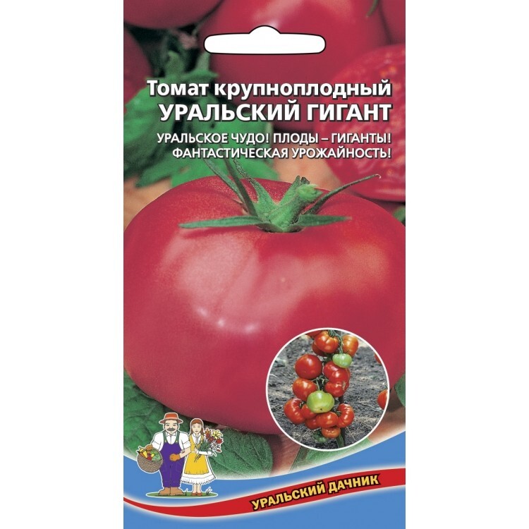Томат "уральский ранний": характеристика и описание сорта – все о томатах. выращивание томатов. сорта и рассада.