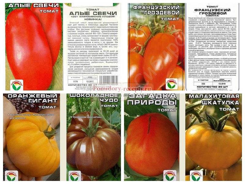 Томат гроздевой: отзывы, фото, описание сорта, характеристика.