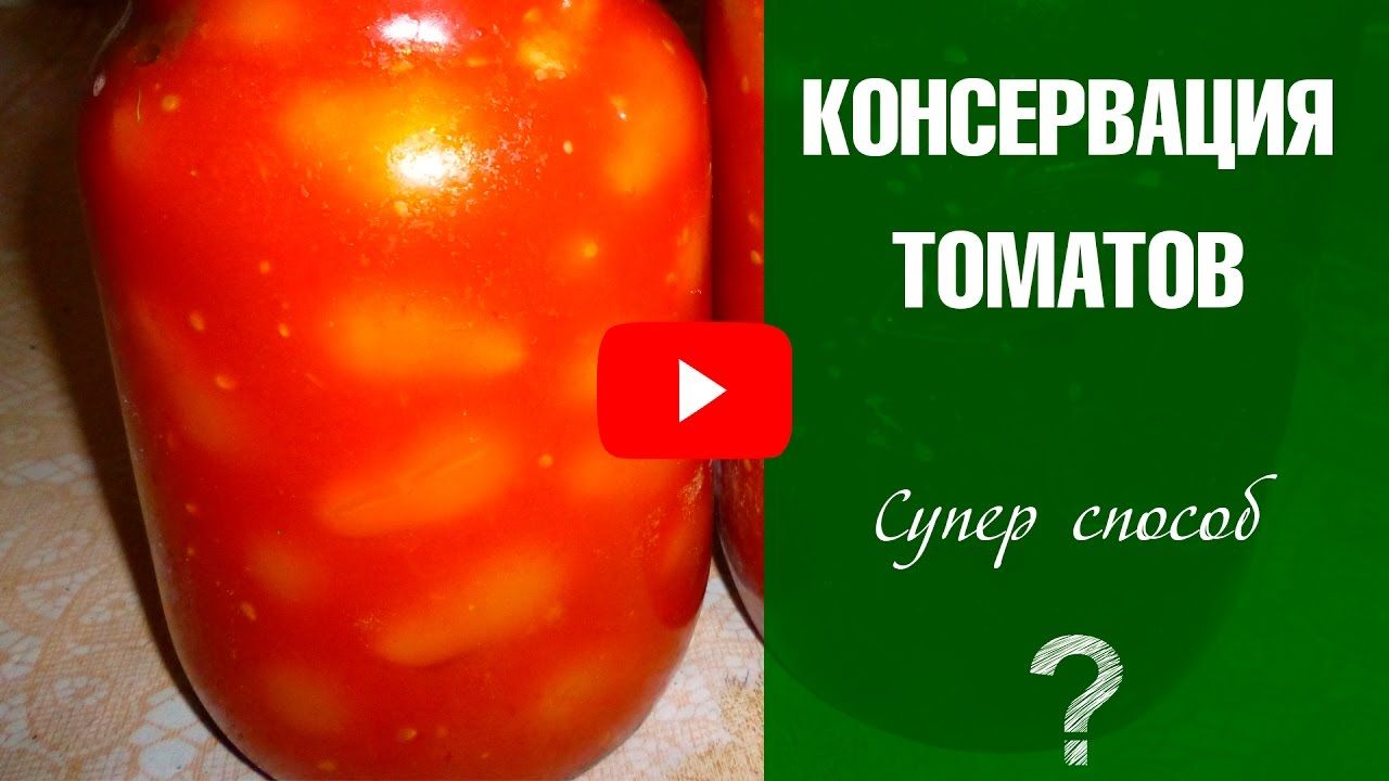 Сорт с потрясающим вкусом — томат бочата: полное описание помидоров и его характеристики