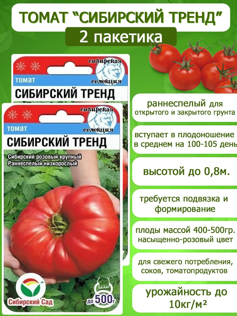 Самые низкорослые сорта томатов: ранние и урожайные для теплицы и открытого грута