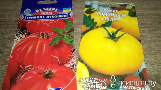 Томат бабушкино лукошко: описание сорта, отзывы, фото | tomatland.ru