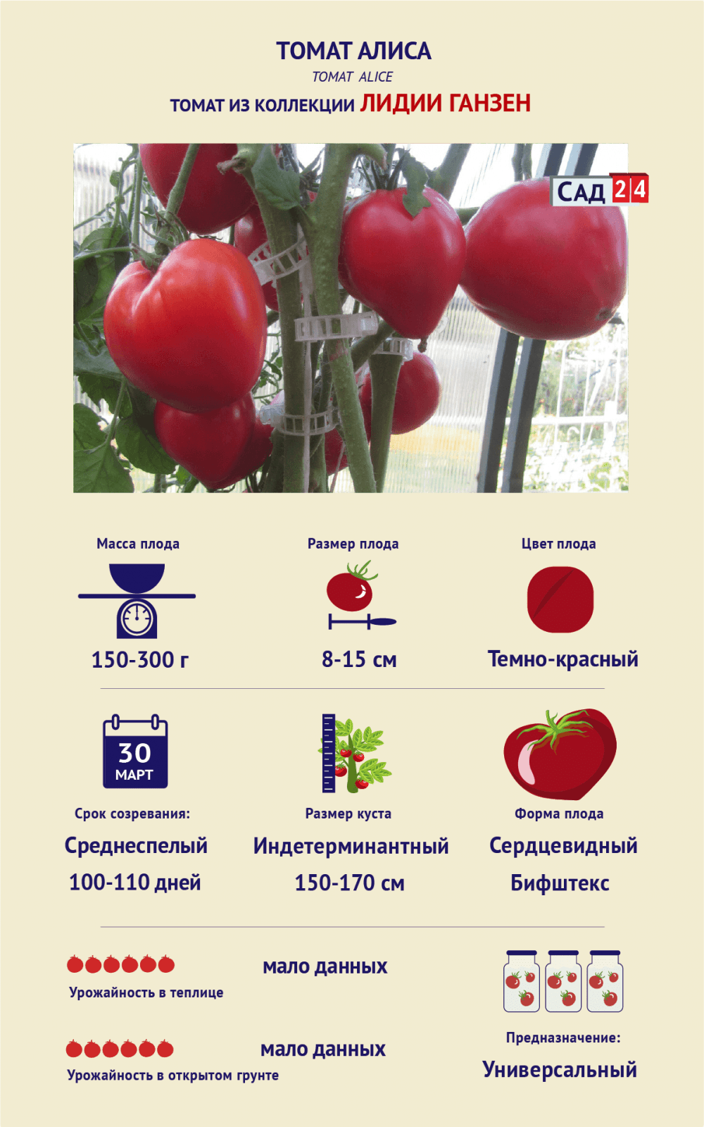 Лучшие сорта крупноплодных томатов, которые я рекомендую всем