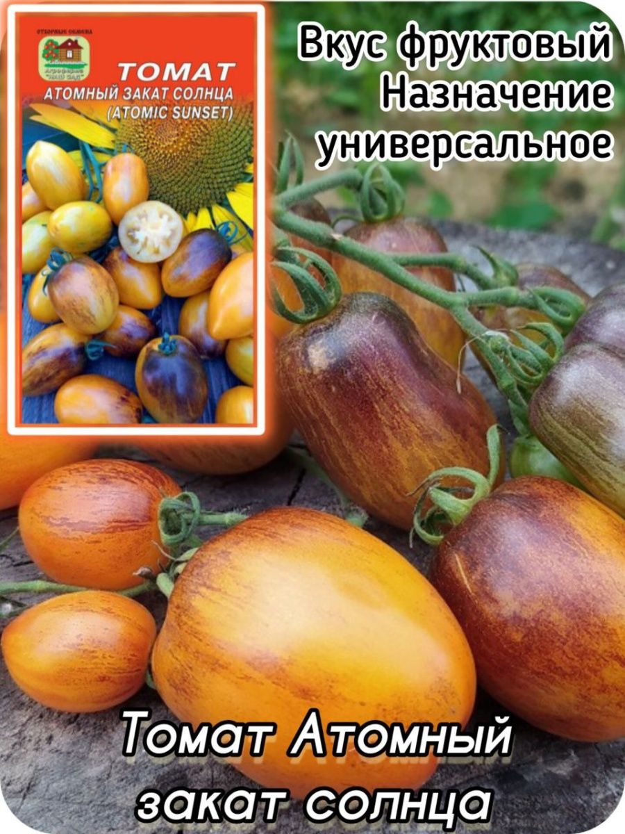 Томат озарк закат: описание сорта, фото и отзывы об урожайности помидоров, характеристика растения