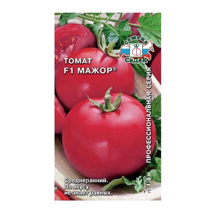 Томат мажор: описание и характеристика, отзывы, фото