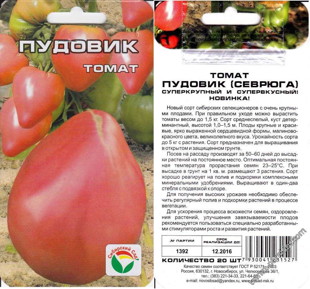 Томат хлыновский: описание сорта, особенности его выращивания