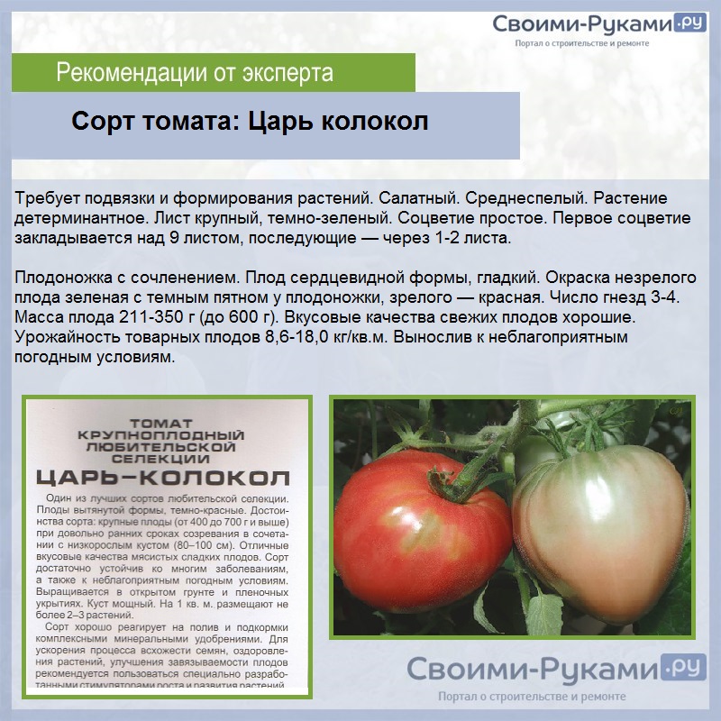 Томат кума: описание сорта, отзывы, фото