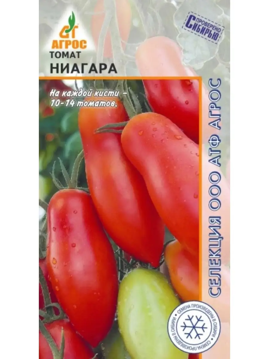 Томат ниагара
