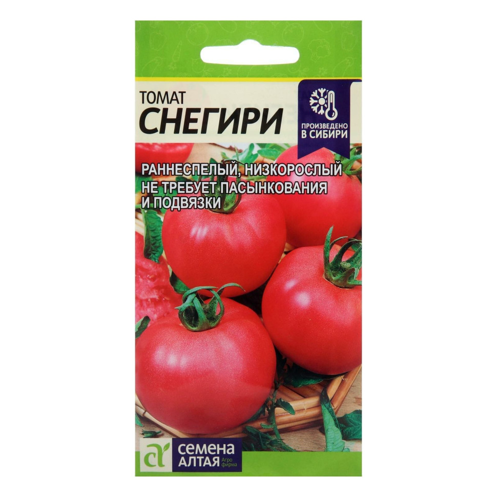 Выращивание томата снегирь
