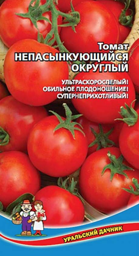 Лучшие сорта томатов для сибири 2024 года